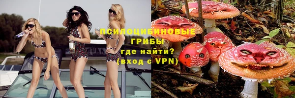 мяу мяу мука Алексин